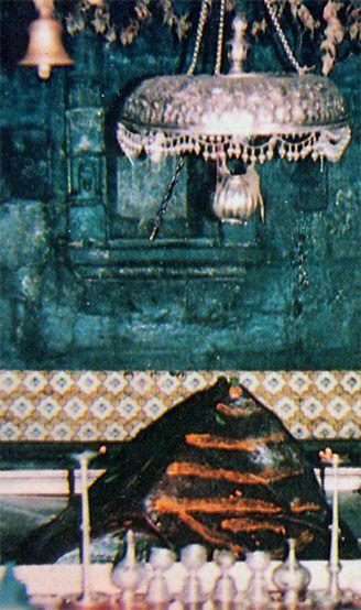 img15.jpg