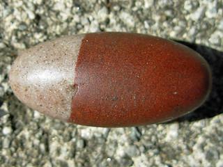 img5.jpg