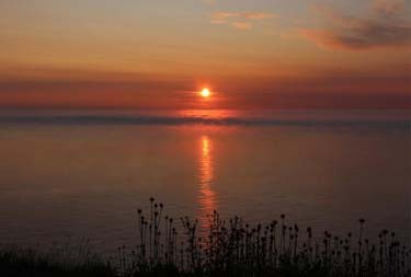 img11.jpg