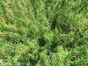 img12.jpg