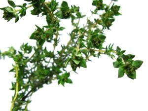 img17.png