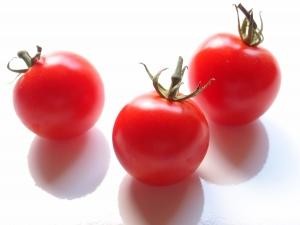 img1.jpg