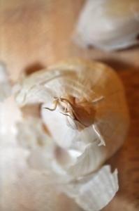 img13.jpg