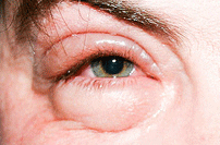 img5.png