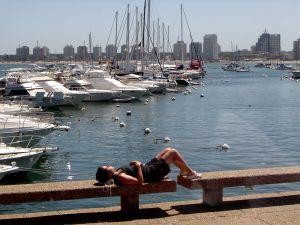 img14.jpg