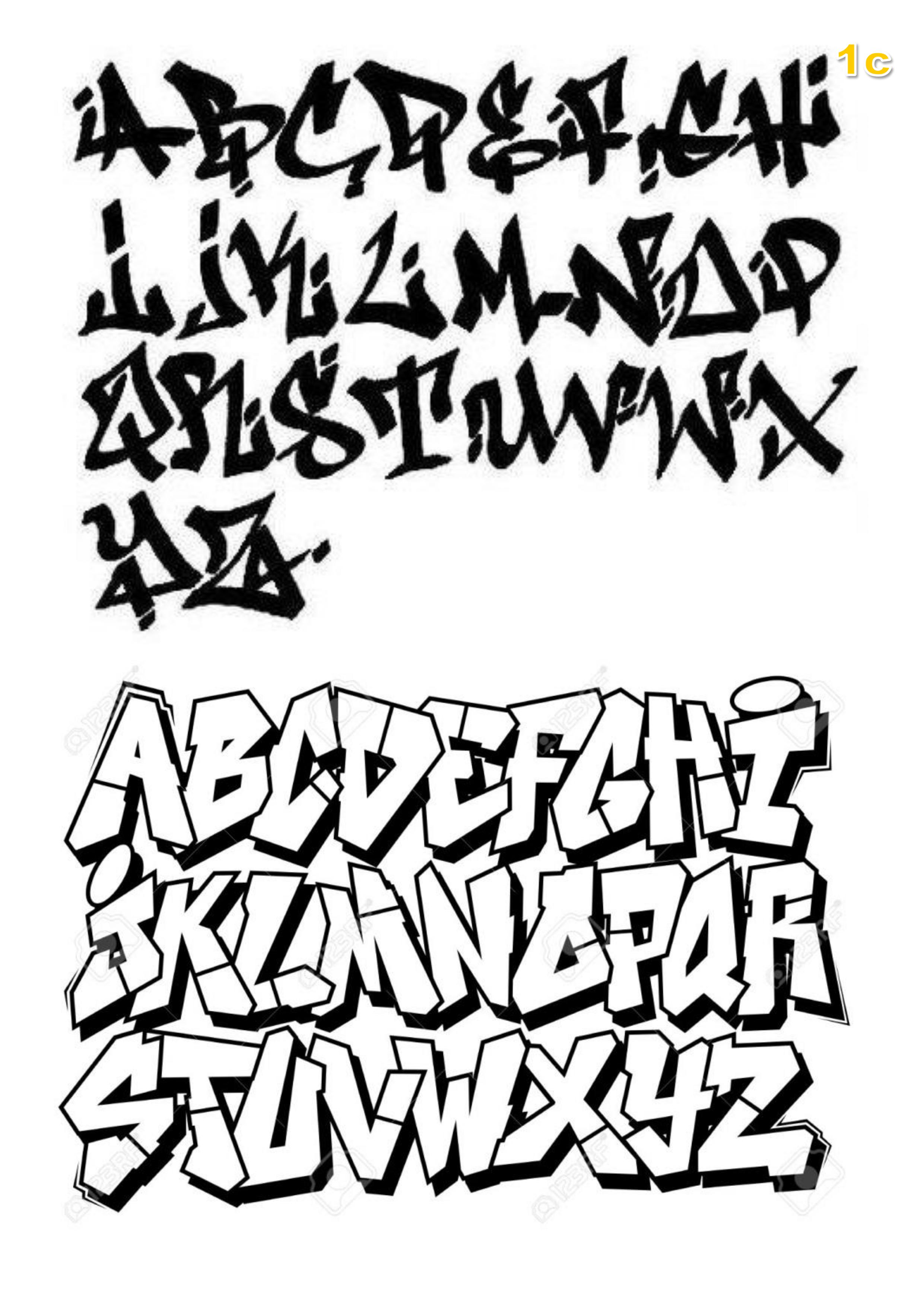 img5.jpg