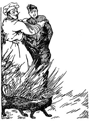img19.jpg