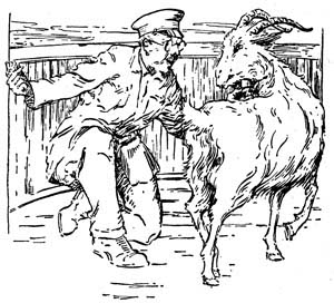 img28.jpg