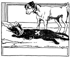 img29.jpg