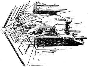img32.jpg