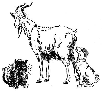 img36.jpg