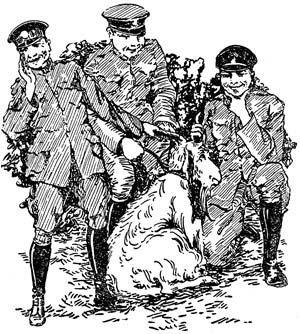 img9.jpg
