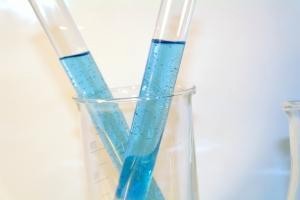 img1.jpg