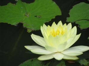 img5.jpg