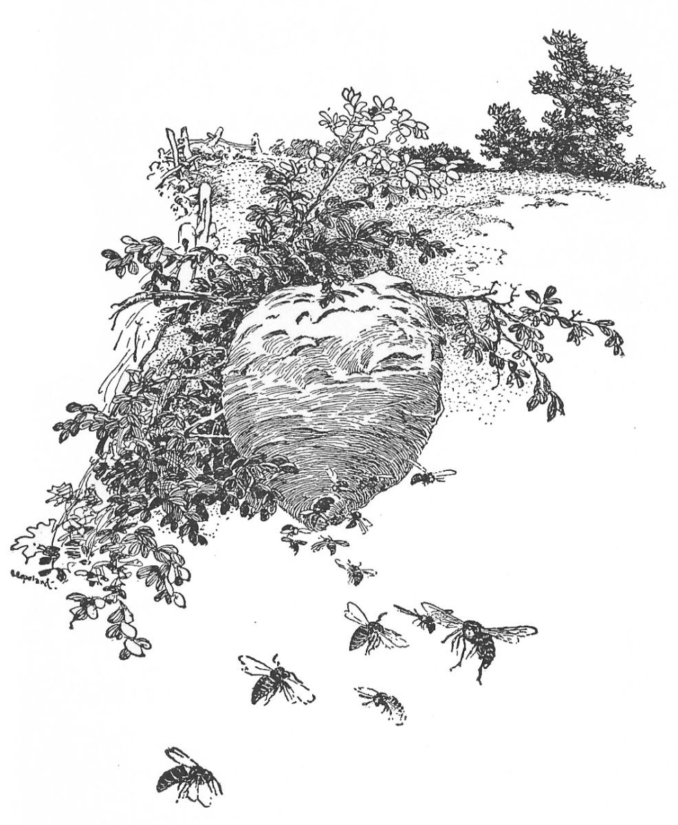 img2.jpg