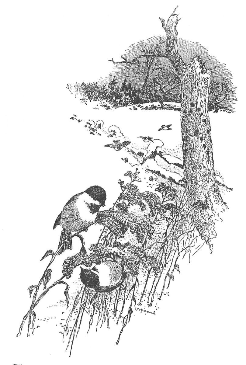 img3.jpg