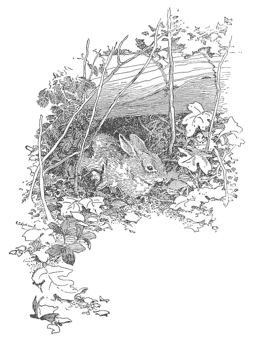 img4.jpg