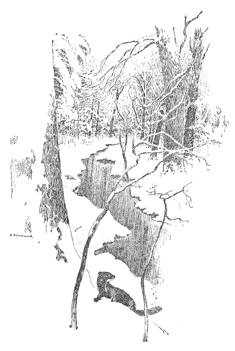 img5.jpg