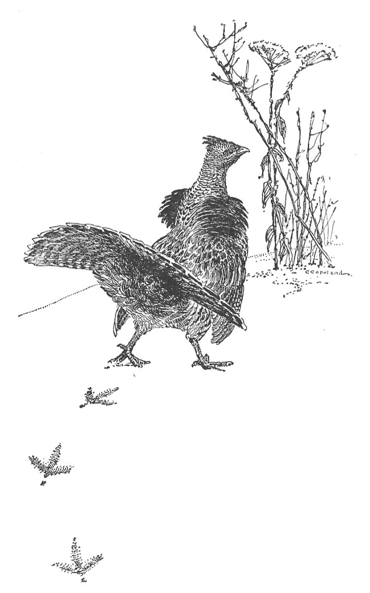 img6.jpg