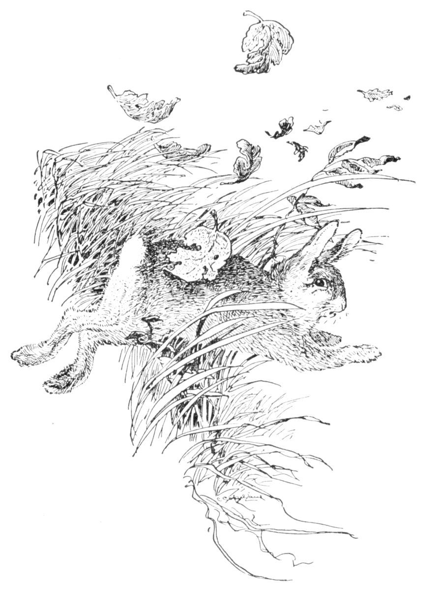 img3.jpg