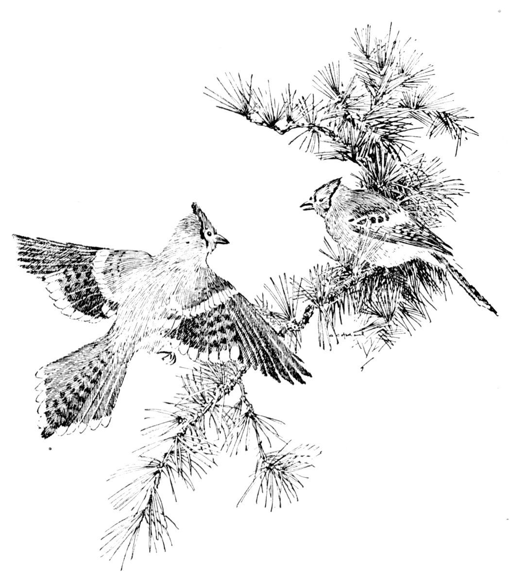 img4.jpg