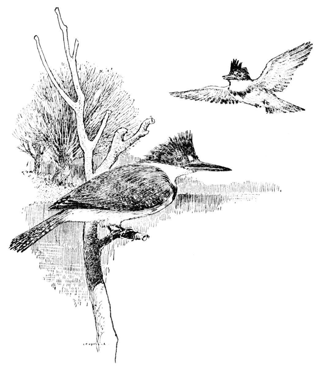 img5.jpg