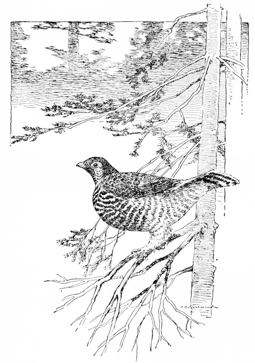 img3.jpg