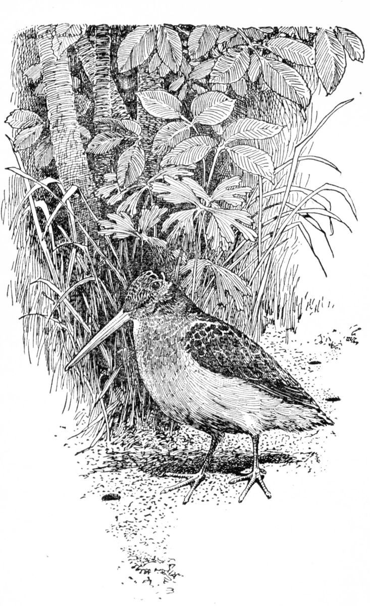 img5.jpg