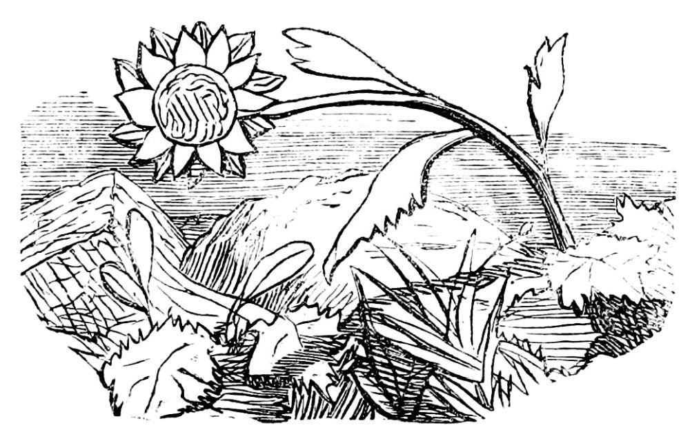 img6.jpg