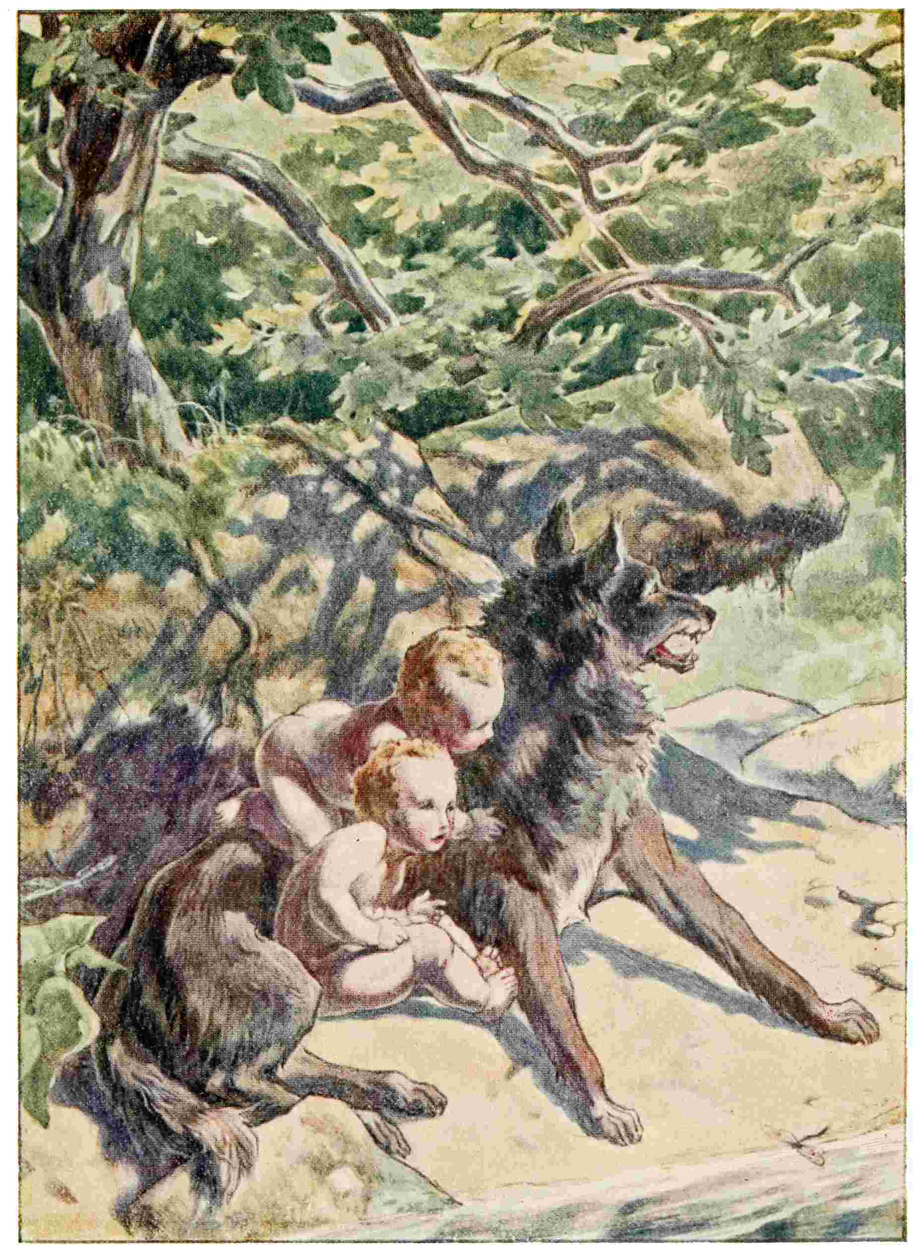img3.jpg