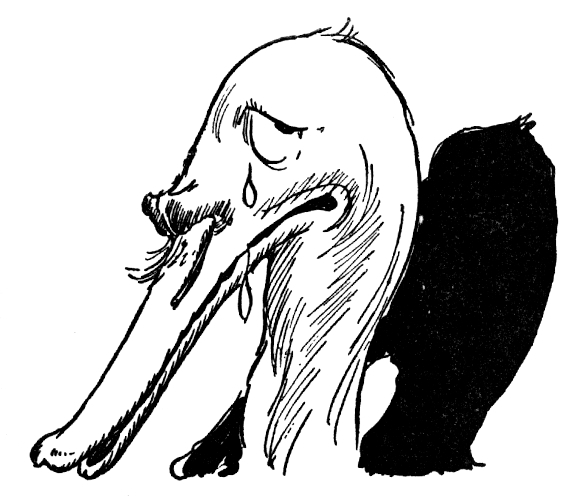 img21.jpg