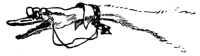 img3.jpg