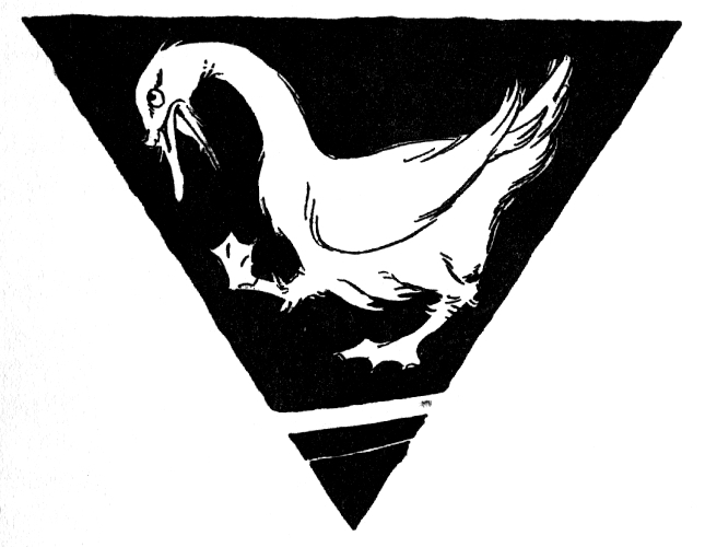 img9.jpg