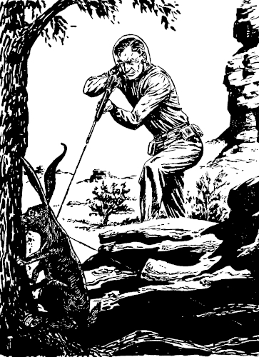 img1.jpg
