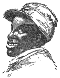 img11.jpg