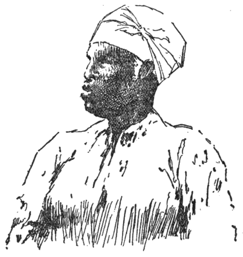 img32.jpg