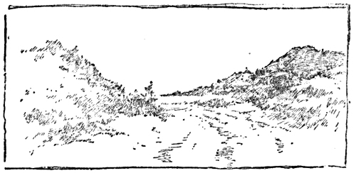 img72.jpg