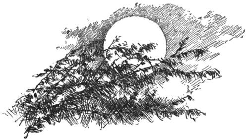 img78.jpg