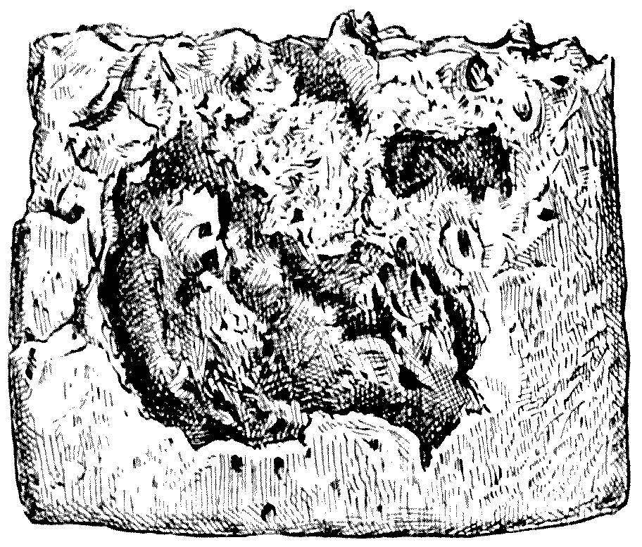img11.jpg