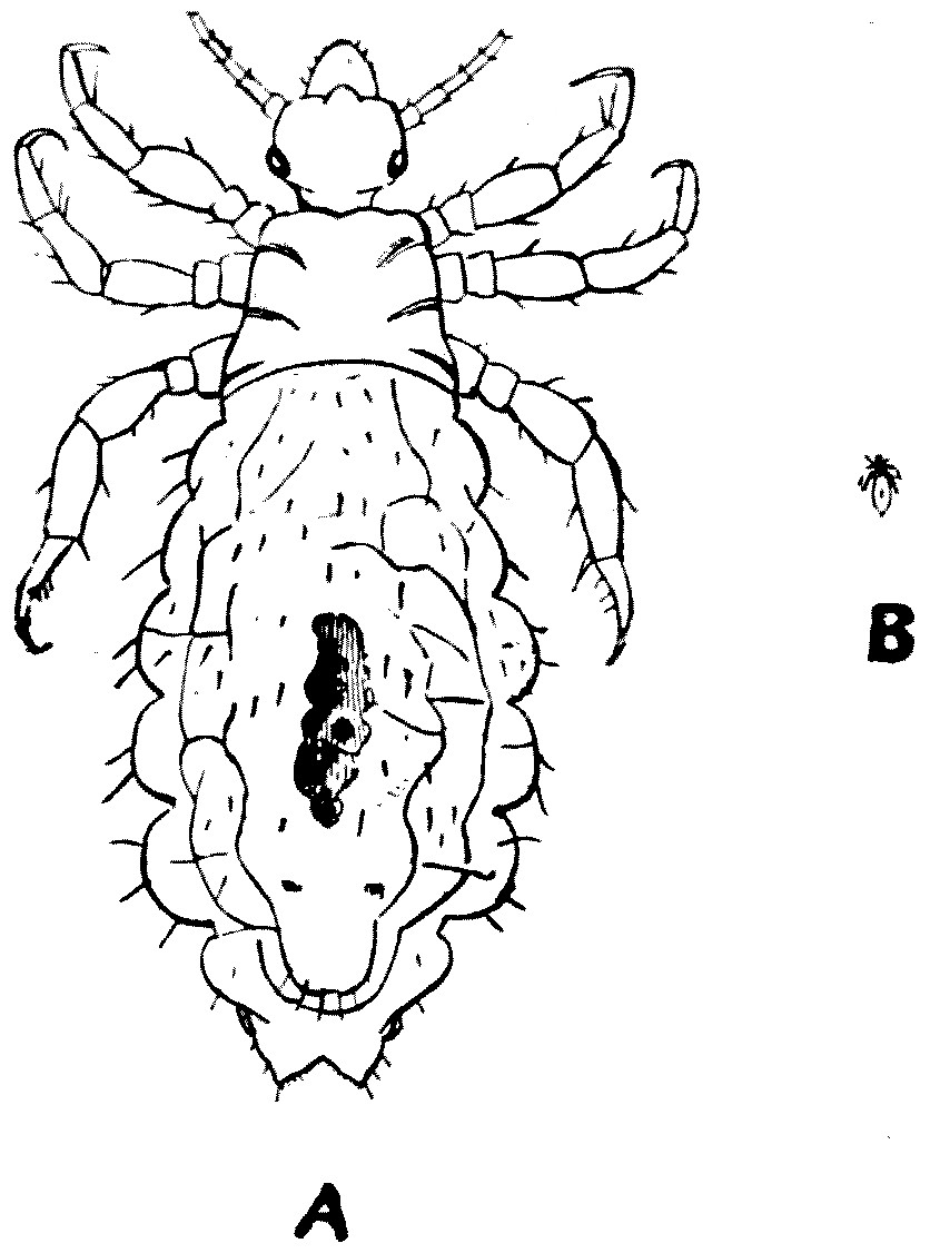 img2.jpg
