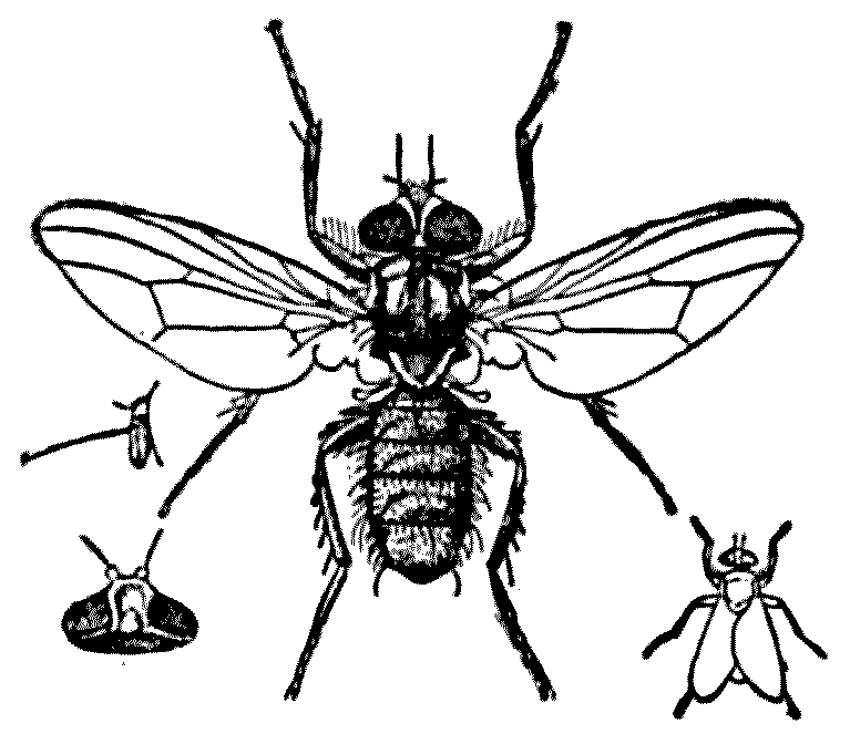 img24.jpg