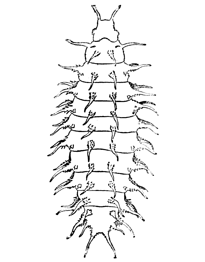 img25.jpg