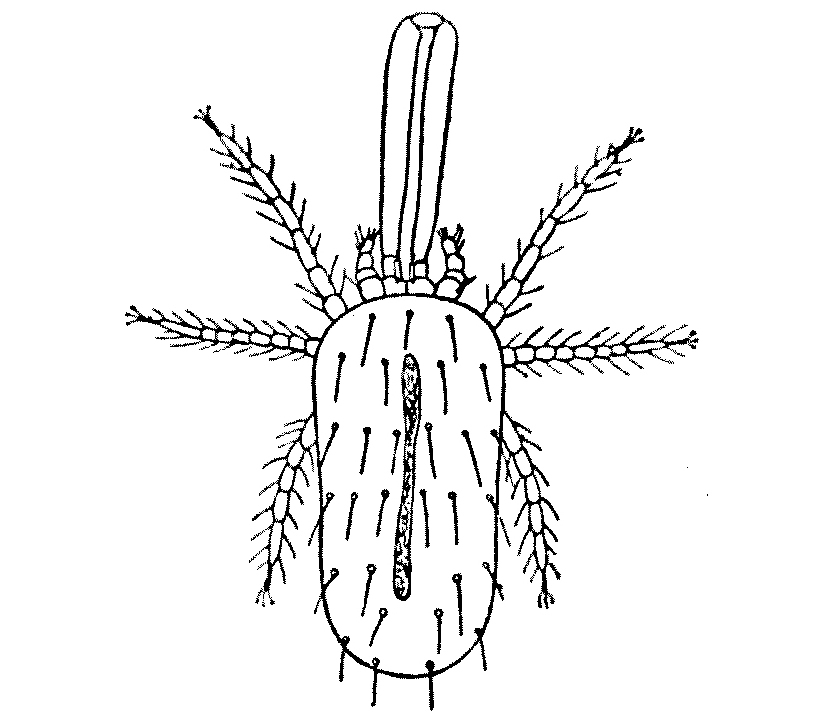 img32.jpg