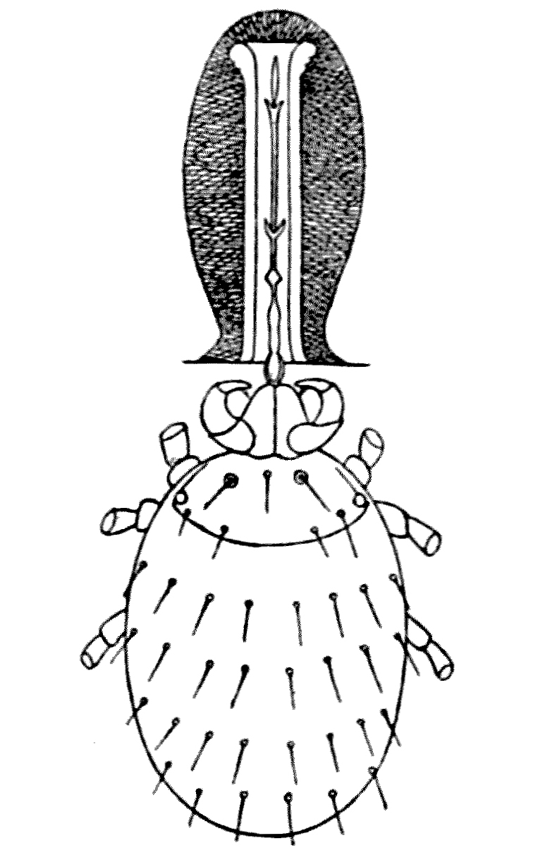 img33.jpg