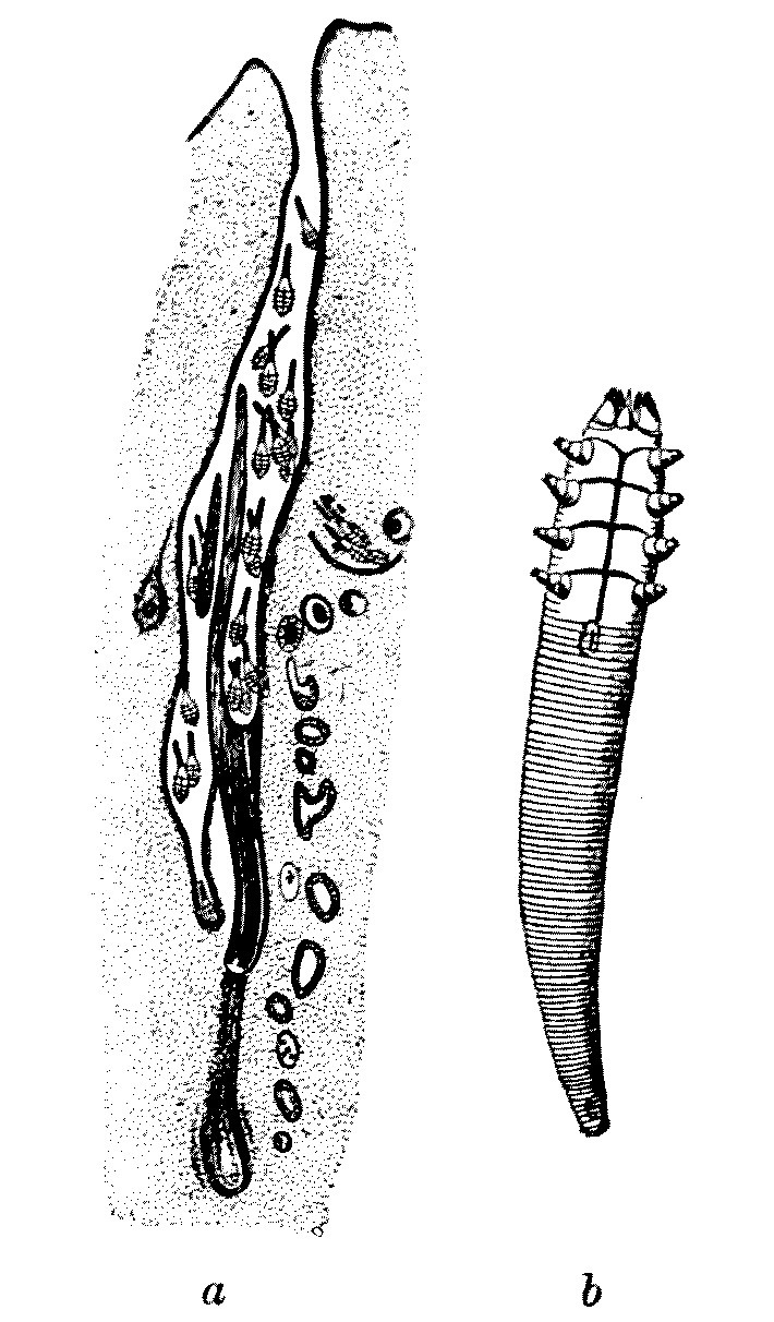 img35.jpg