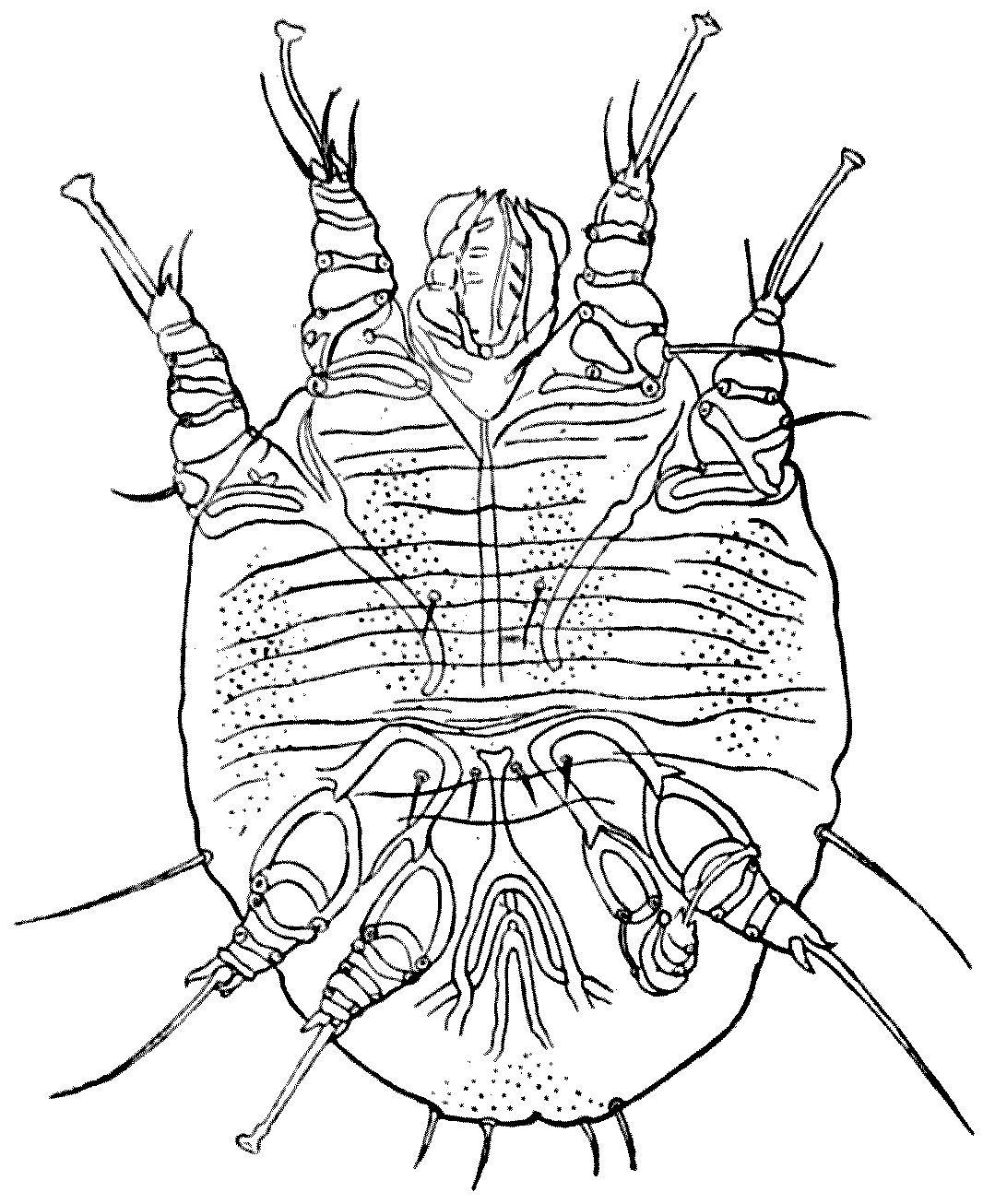 img37.jpg