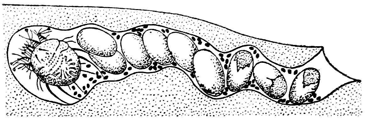 img39.jpg