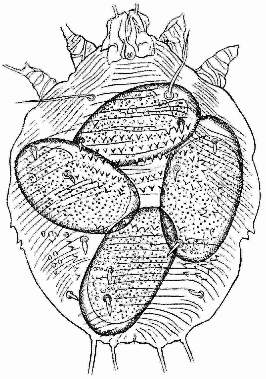 img40.jpg