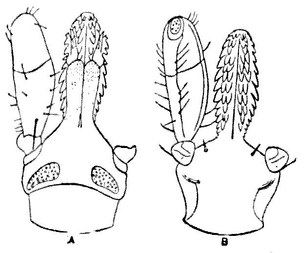 img43.jpg
