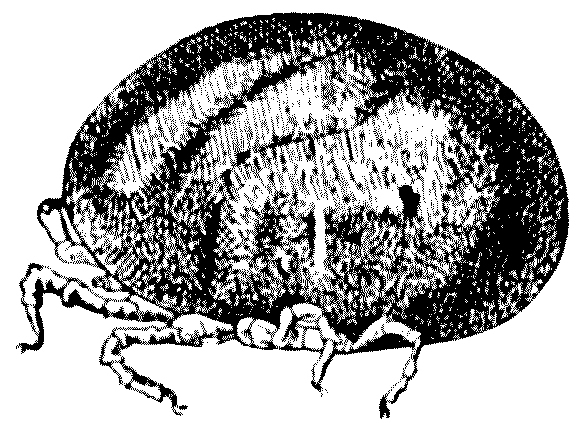 img46.jpg